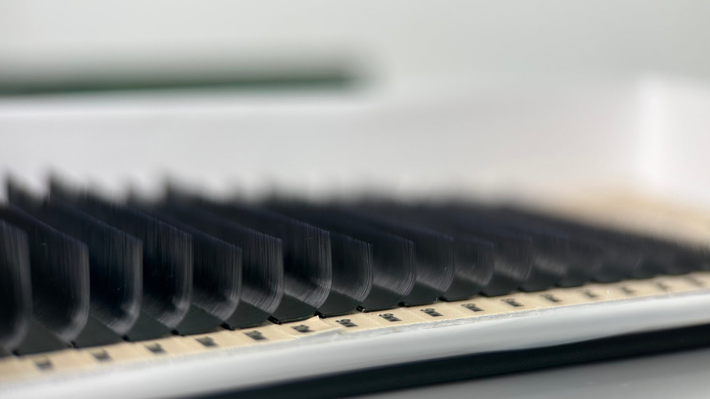 V Curl Eyelash Extensions | Belova Lash