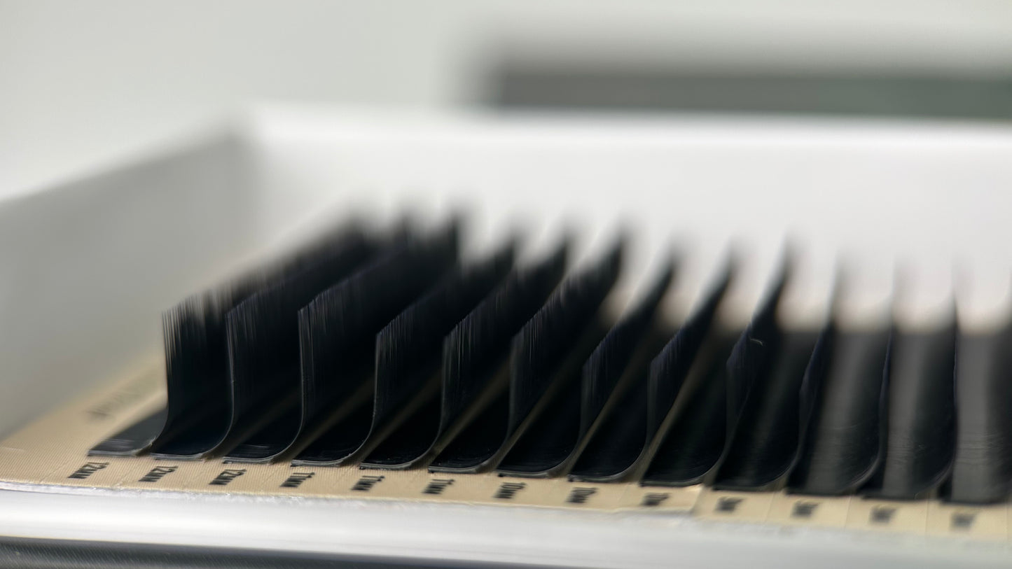 V Curl Eyelash Extensions | Belova Lash