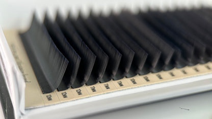 M Curl Single Trays