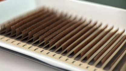 D Curl Single Trays