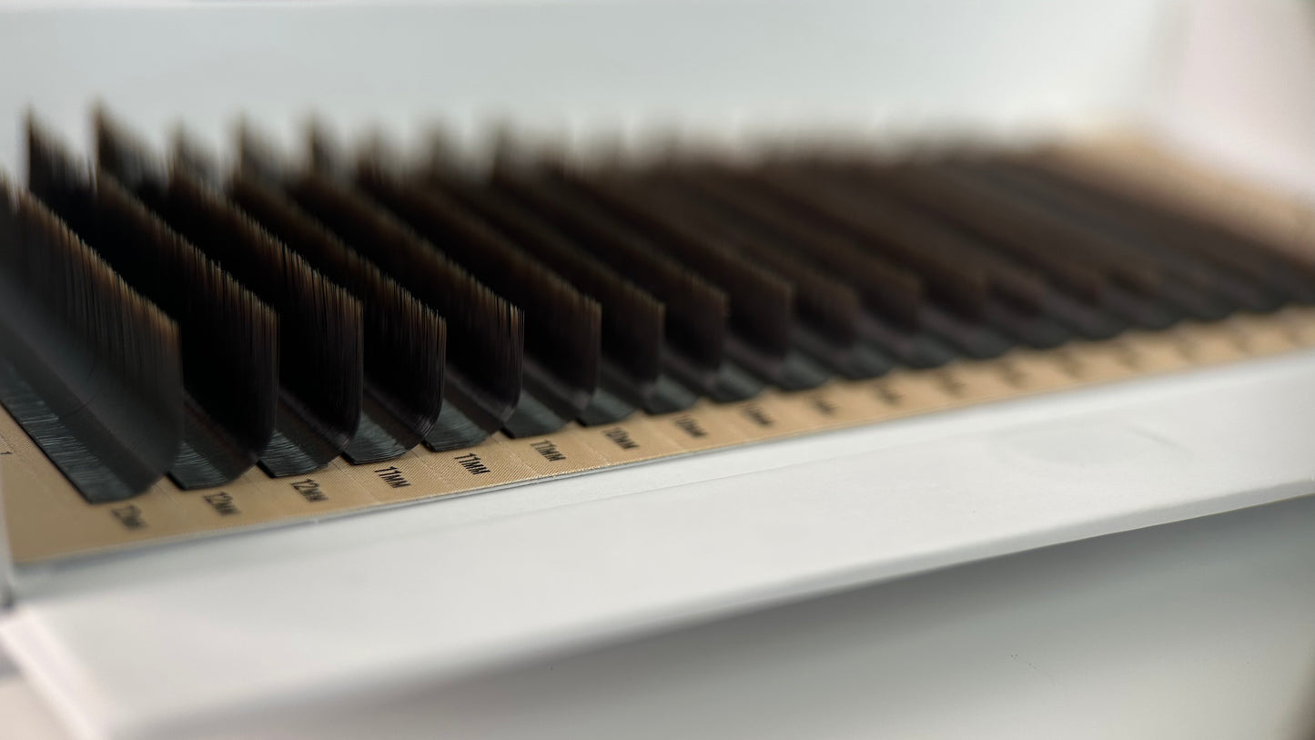 V Curl Eyelash Extensions | Belova Lash