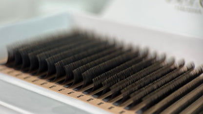 D Curl Single Trays