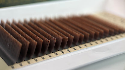 M Curl Single Trays