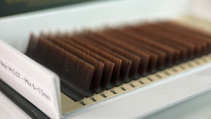 M Curl Single Trays
