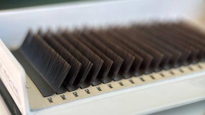 L Curl Single Trays